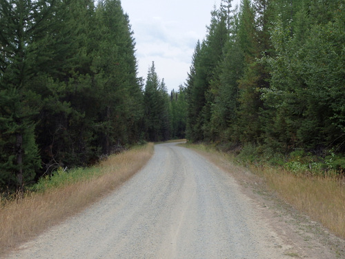 GDMBR: Southbound on NF-903, Cold Creek Road.